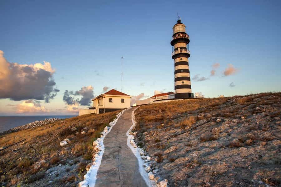 From Rio de Janeiro: 5-Day Bahia and Abrolhos Islands Tour - Who Would Love This Tour?