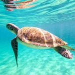 From Rio de Janeiro: Angra dos Reis & Ilha Grande Day Tour - In-Depth Review of the Tour Experience