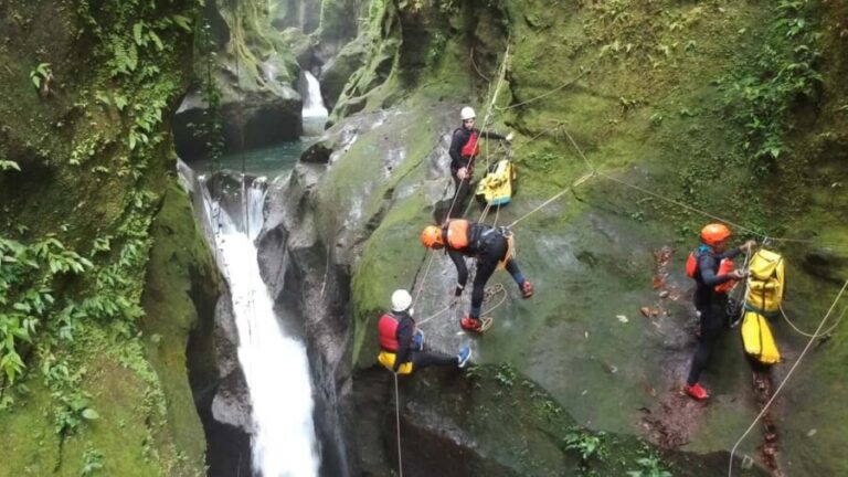 From Roseau: Canyon Experience - An In-Depth Look at the Canyon Experience