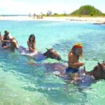 From Runaway Bay: Horseback Ride and Swim Countryside Tour - What Makes This Tour Stand Out