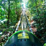 from Runaway Bay: Jamaica Bobsled and Zipline - The Sum Up
