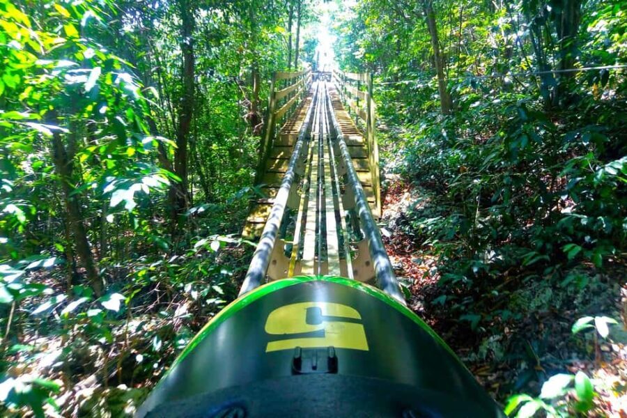 from Runaway Bay: Jamaica Bobsled and Zipline - The Sum Up