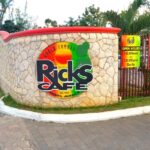 From Runaway Bay: Negril Beach and Rick's Cafe Trip by Van - Rick’s Cafe: The sunset and cliffside charm