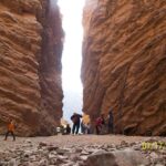 From Salta: Cafayate and Hornocal 2-Day Tour with Transfer - Who Will Love This Tour?
