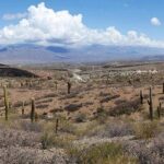 From Salta: Full-day tour to Cachi and Los Cardones National Park - Authenticity and Value
