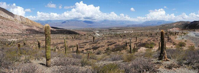 From Salta: Full-day tour to Cachi and Los Cardones National Park - Authenticity and Value
