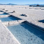 From Salta: Full-Day Tours of Cafayate and Salinas Grandes - Who Should Consider This Tour?