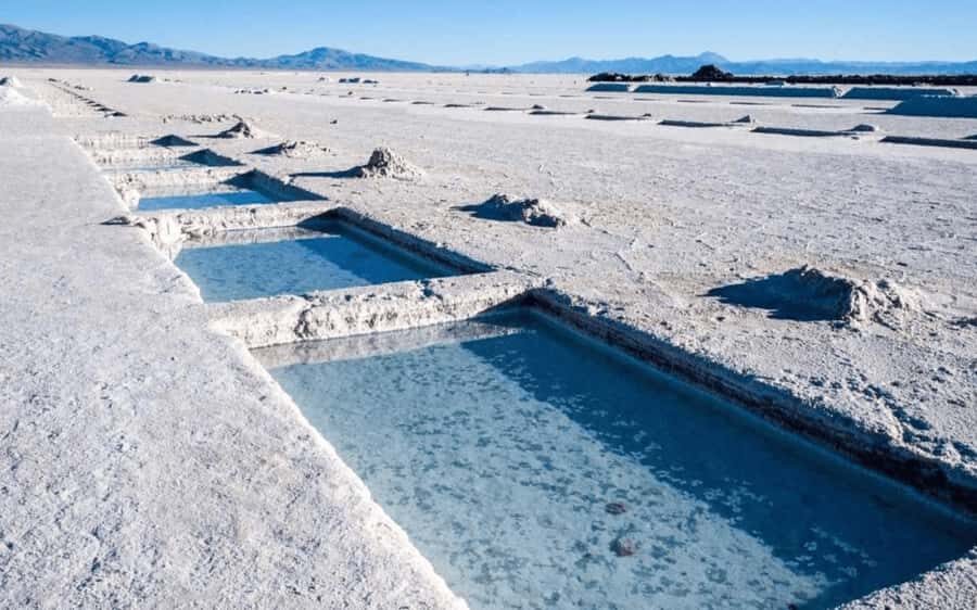 From Salta: Full-Day Tours of Cafayate and Salinas Grandes - Who Should Consider This Tour?