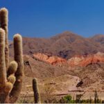 From Salta: Full-Day Wine and Valley Tour to Cafayate - In-Depth Review of the Full-Day Cafayate Tour