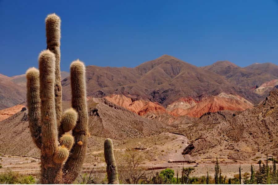 From Salta: Full-Day Wine and Valley Tour to Cafayate - In-Depth Review of the Full-Day Cafayate Tour