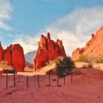 From Salta: Two Full-Day Excursions through Cafayate and Cachi - Authentic Experiences and Considerations