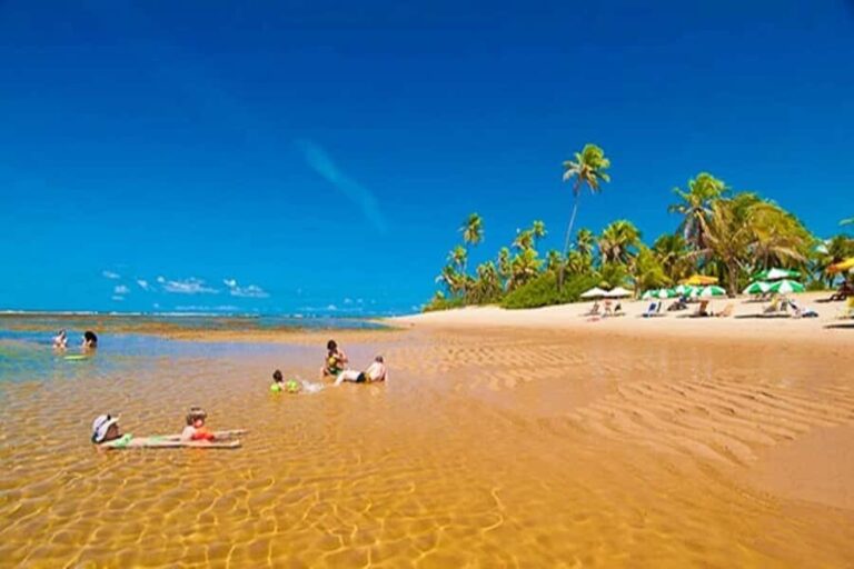 From Salvador: Praia do Forte & Guarajuba Beach Daytrip - The Highlights in Detail