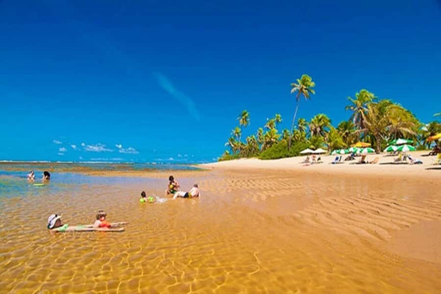 From Salvador: Praia do Forte & Guarajuba Beach Daytrip - The Highlights in Detail