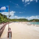 From Salvador: Schooner Trip to Ilha dos Frades - What Travelers Say