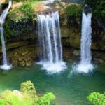 From Samaná: El Limón Waterfall Horseback Ride with Lunch - An In-Depth Look at the Experience