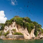 From Samana: Los Haitises Boat and Walking Tour with Lunch - A Deep Dive into the Los Haitises Tour Experience