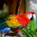 From San José: Carara National Park and Tárcoles River Tour - Who Will Love This Tour?