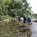 From San Juan: El Yunque Rainforest Hiking Adventure - Detailed Review of the El Yunque Hiking Adventure