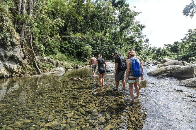 From San Juan: El Yunque Rainforest Hiking Adventure - Detailed Review of the El Yunque Hiking Adventure