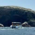 From San Martin Port: Ballestas Islands Tour in Paracas - In-Depth Review: What You Can Expect from the Ballestas Islands Tour