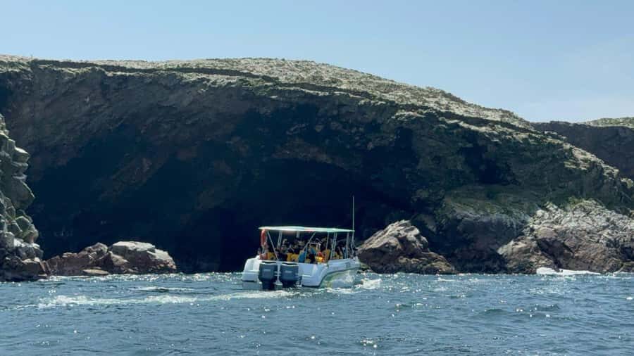 From San Martin Port: Ballestas Islands Tour in Paracas - In-Depth Review: What You Can Expect from the Ballestas Islands Tour