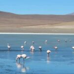 From San Pedro de Atacama: 3-Day Uyuni Salt Flat Tour - The Itinerary in Detail