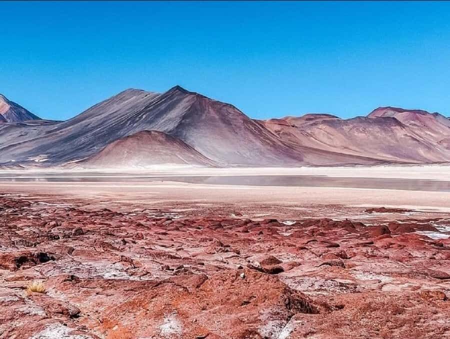 From San Pedro de Atacama: Lagoons and Piedras Reds - Chaxa Lagoon and the Flamingos of the Salt Flat