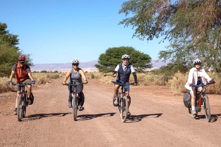 From San Pedro de Atacama: Laguna Cejar E-biking Adventure - The Sum Up