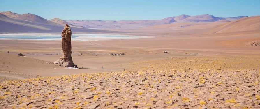 From San Pedro de Atacama: The Salt Flats Route, Full day - A Complete Look at the Salt Flats Route Tour