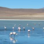 From San Pedro de Atacama to the Uyuni Salt Flats 4 Days - Who Will Love This Tour?