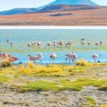 From San Pedro de Atacama: Uyuni Salt Flat 3-Days - An In-Depth Look at the 3-Day Uyuni Salt Flat Tour