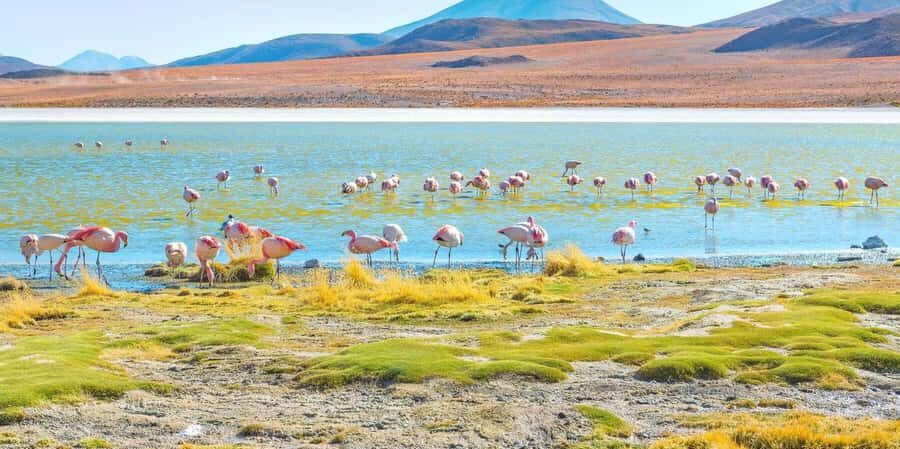 From San Pedro de Atacama: Uyuni Salt Flat 3-Days - An In-Depth Look at the 3-Day Uyuni Salt Flat Tour