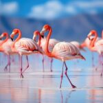 From San Pedro de Atacama: Uyuni Salt Flat 4-Days - An In-Depth Look at the Uyuni Salt Flat Tour from San Pedro de Atacama