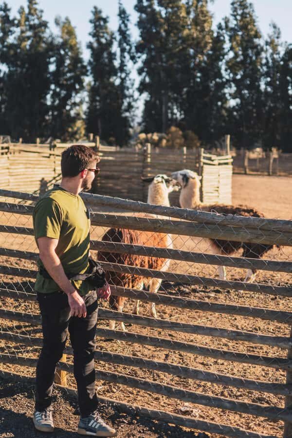 From Santiago: Casablanca, Valparaíso, Viña del Mar and Reñaca (art & sea) - What the Price Includes and Excludes