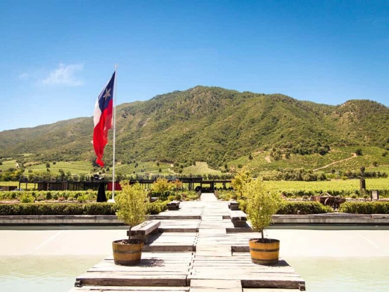 From Santiago: Colchagua Valley Wine Route Day Tour - Exploring the Heart of Chile’s Wine Country