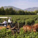 From Santiago: Private Colchagua Valley Wine Tour w/ Tasting - Who Will Enjoy This Tour?