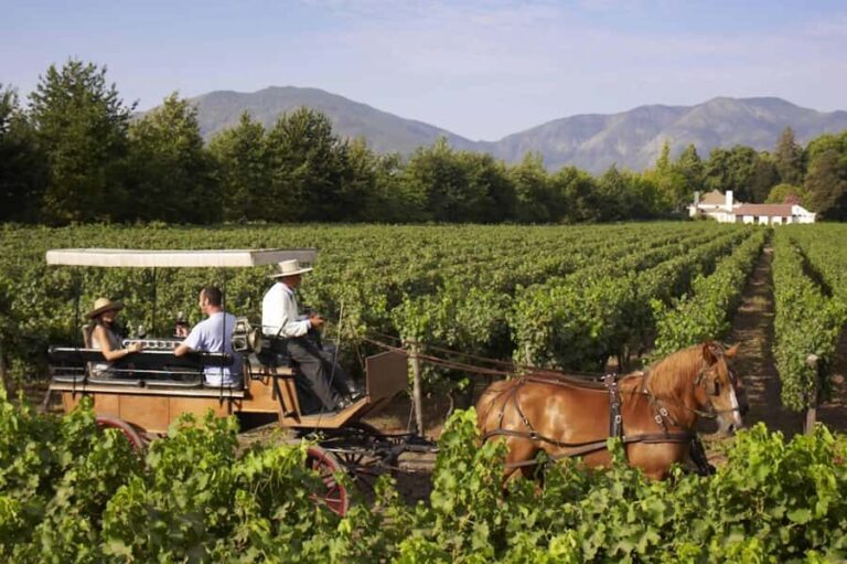 From Santiago: Private Colchagua Valley Wine Tour w/ Tasting - Who Will Enjoy This Tour?