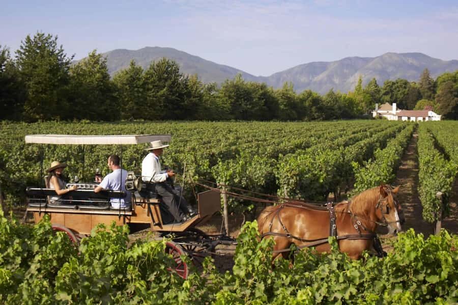 From Santiago: Private Colchagua Valley Wine Tour w/ Tasting - Who Will Enjoy This Tour?