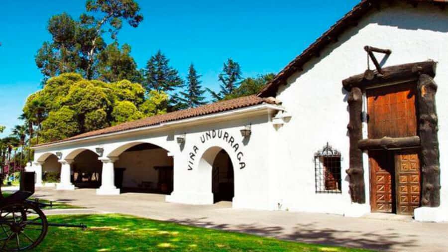 From Santiago: Undurraga Winery Tour with Tasting - An In-Depth Look at the Undurraga Winery Tour