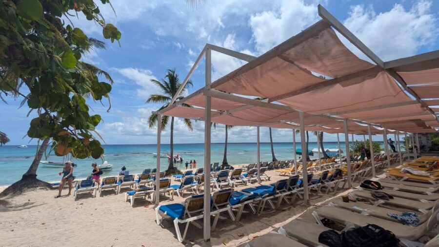 From Santo Domingo: Catalina Island Day Tour - Authenticity and Practical Tips