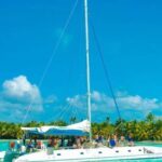 From Santo Domingo: Saona Island Catamaran & Speedboat Tour - Who Will Love This Tour?