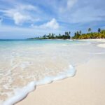 From Santo Domingo: Saona Island Day Trip with Lunch - More Practical Details