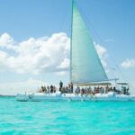 From Santo Domingo Saona Island Food And Drink Catamaran Vip - Practical Information and Tips
