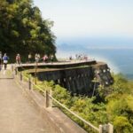 From São Paulo: Private Tour of Atlantic Forest & Valleys - Authentic Experiences and Reviews: What Travelers Say