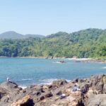 From São Paulo: Santo Amaro Island & Wild Beaches Day Trip - Authenticity and Value