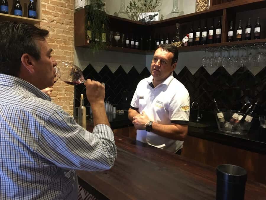 From São Paulo: São Roque Wineries Route and Shopping Tour - Why This Tour Is a Great Choice