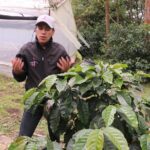 From Seed to Cup - Coffee Experience at La Palma y El Tucan - Final Thoughts