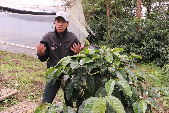 From Seed to Cup - Coffee Experience at La Palma y El Tucan - Final Thoughts