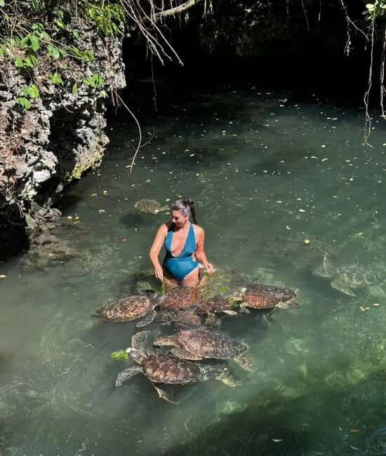 From South Coast. Blue Lagoon, Salaam Cave & Rock - Who Will Love This Tour?