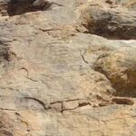 From Sucre | Maragua Crater and Dinosaur Footprints | 1 Day - Exploring Bolivias Hidden Gems: A Detailed Review